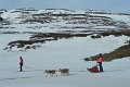 Dog sledding (08)